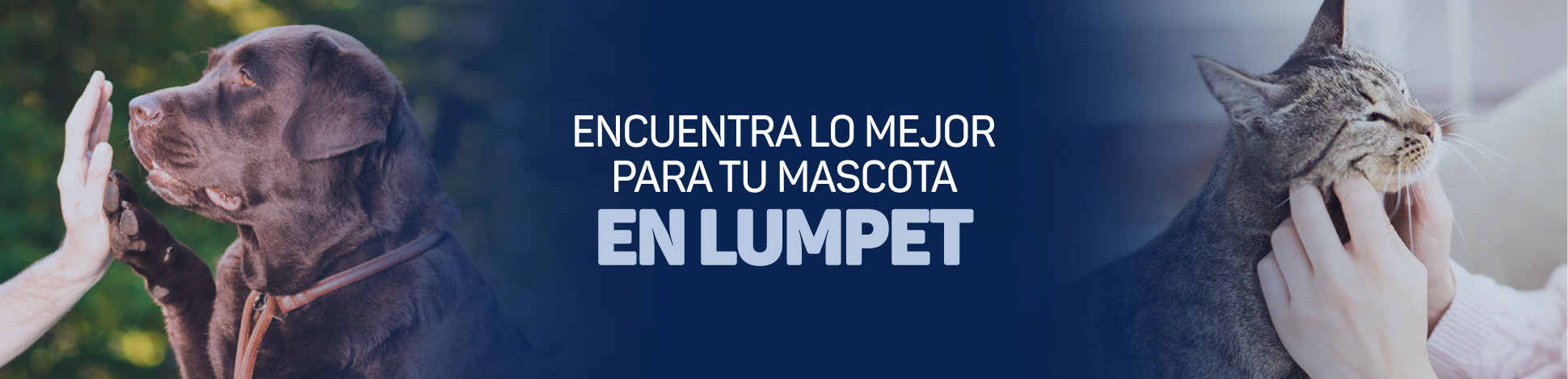 banner principal desktop.png