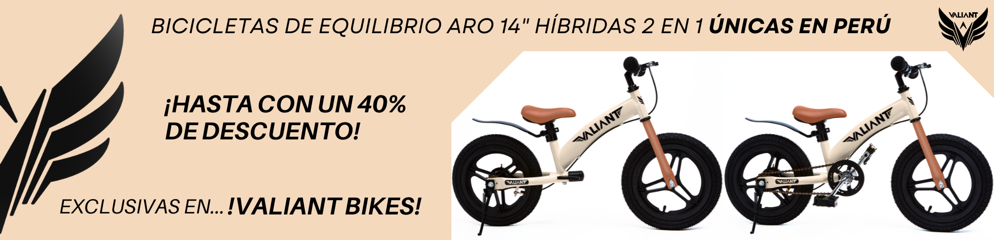 Bicicleta de equilibrio 4.png