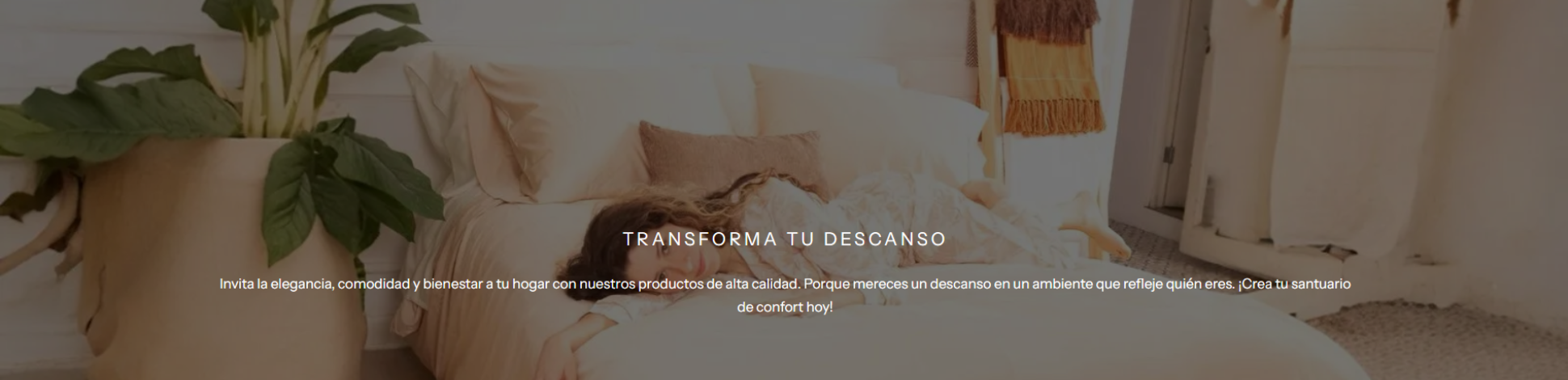 diseo sin ttulo _ 2025_12_16t162000.983.png