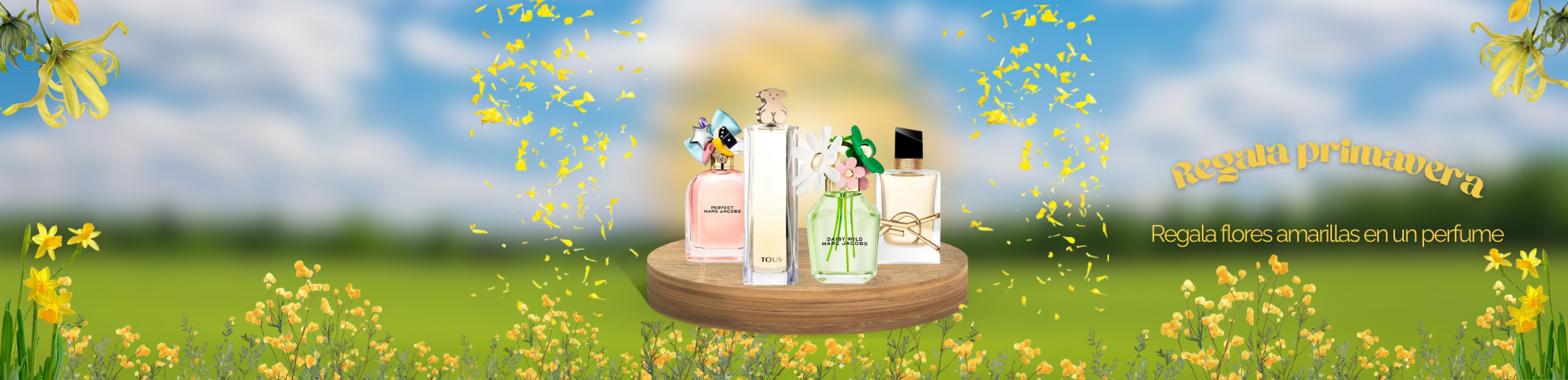 fragancias que iluminan como flores amarillas 1.jpg