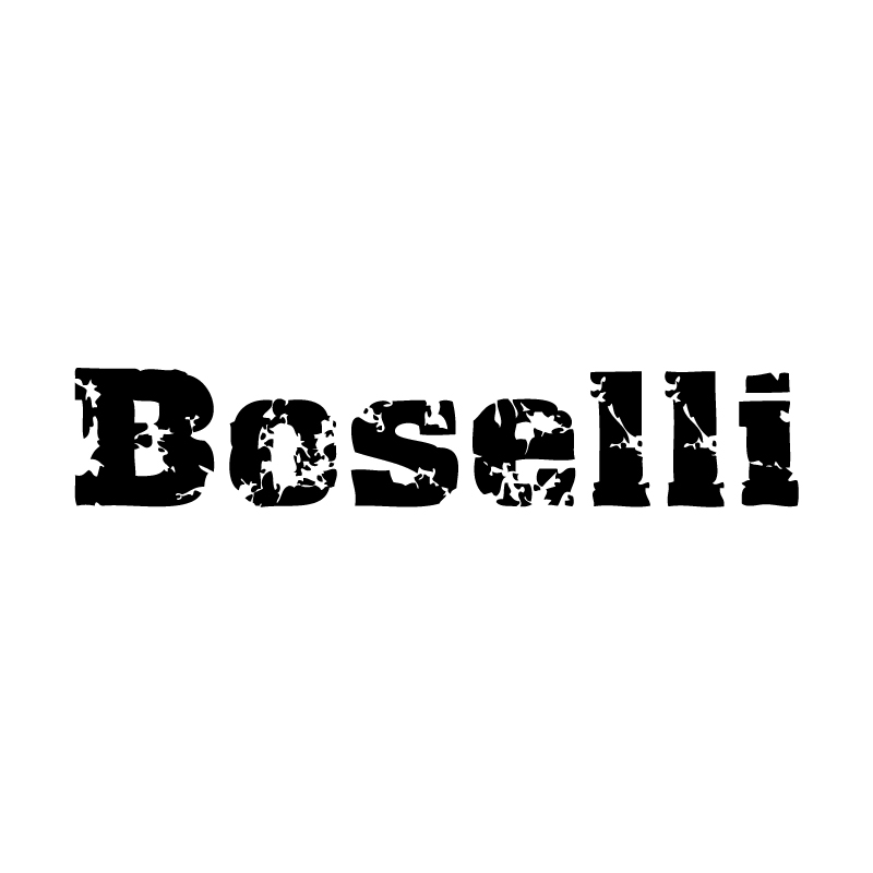 LOGO-BOSELLI.jpg
