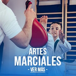 247x247-artes-marciales.jpg