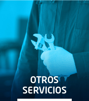 310x351-otros-servicios.jpg