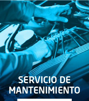 310x351-servicio-mantenimiento.jpg