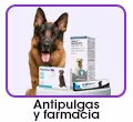 Antipulgas y Farmacia