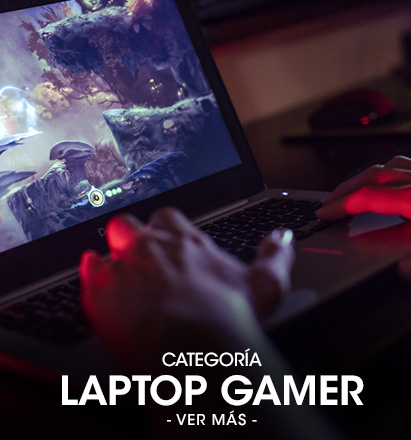 411x440-laptop-gamer.jpg