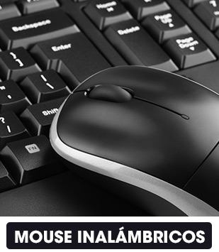 309x355-mouse.jpg