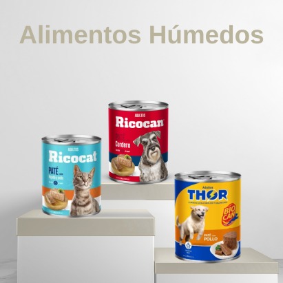 alimentos humedos.jpeg