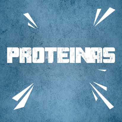 banner categorias proteinas.jpg