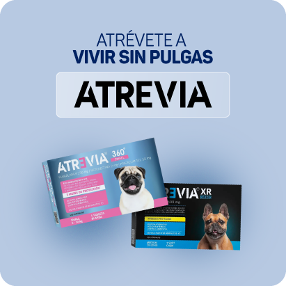 banner marca atrevia 05.png
