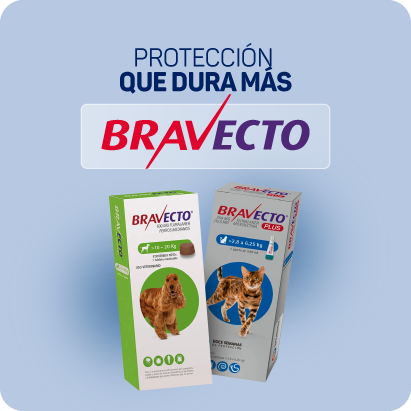 banner marca bravecto 01.png