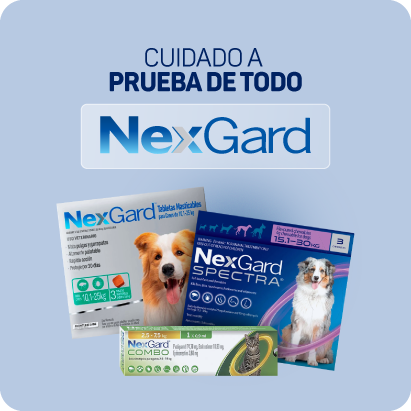banner marca nexgard 02.png