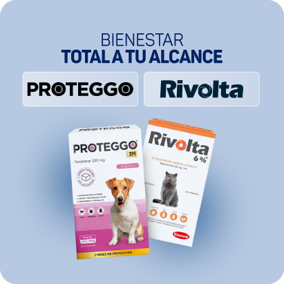 banner marca proteggo y rivolta 03.png