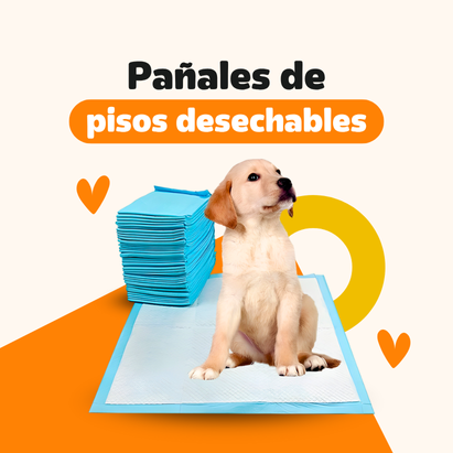 categora 1.png