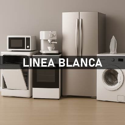 categoria 2.jpg