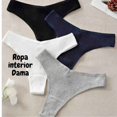 categoria dama.png
