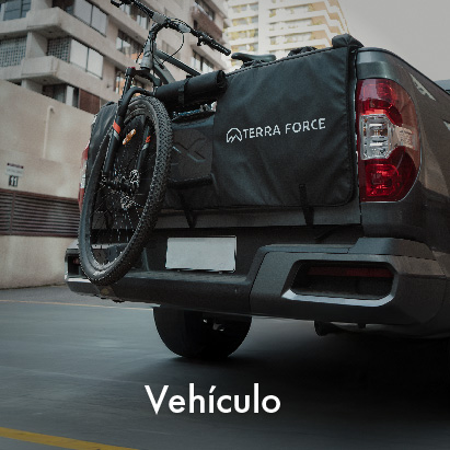 CATEGORIA VEHICULOS.jpg