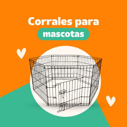 categorias 3.png