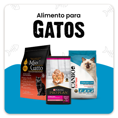 Categorias-Juntoz.com-GO_Pet-Alimento_gato.png