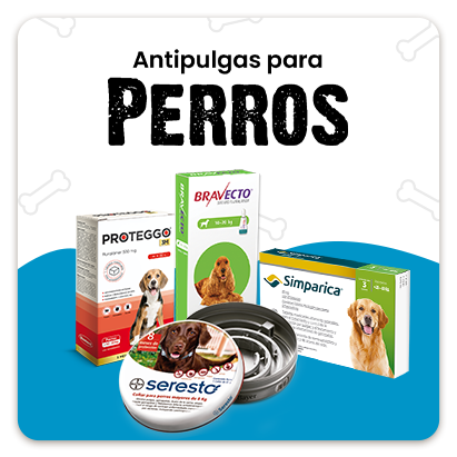 Categorias-Juntoz.com-GO_Pet-Antipulgas_perro (1).png