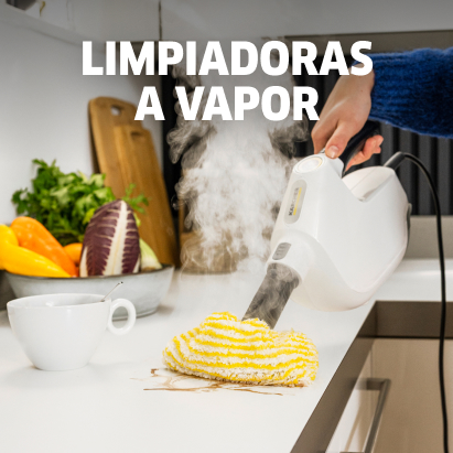 categorias_limpiadoras a vapor.jpg