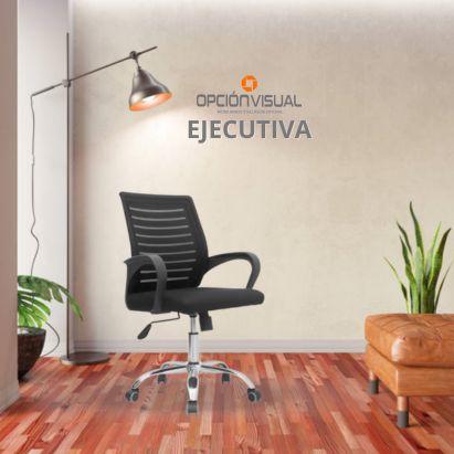 ejecutiva.jpeg