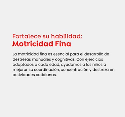 juntoz_categoria_1_411x411.jpg