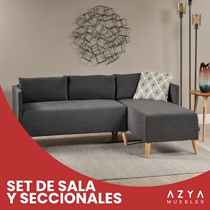 seccionales.jpg