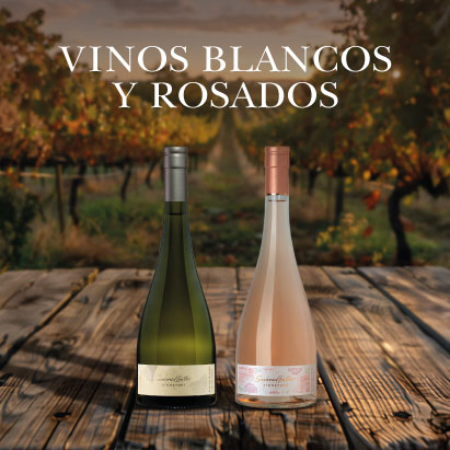 VINO-BLANCO-Y-ROSADO.jpg