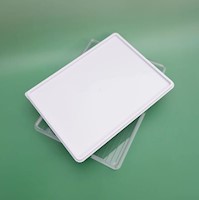 CAJA DE PLASTICO PARA ALIMENTOS DOS MIL ML