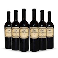 Sixpack Vino Tinto Malbec El Enemigo Botella 750 ml