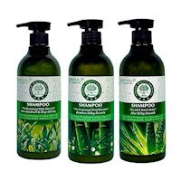 Pack de 3 Shampoo de Bambo, Aloe Vera y Te Verde Wokaly de 550 ml