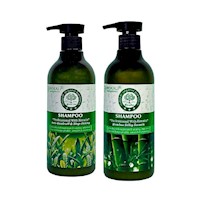 Pack de 2 Shampoo de Bambo y Te Verde Wokaly de 550 ml