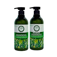 Pack de 2 Shampoo + Acondicionador de Te Verde Wokaly de 550 ml