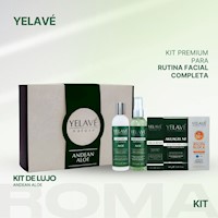 KIT DE LUJO ANDEAN ALOE YELAVÉ