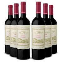 Sixpack Vino tinto Alandes Uco Valley malbec, Argentina