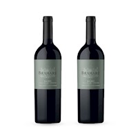 Duopack Vino tinto Bramare Valle de Uco malbec, Argentina.