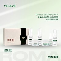 MINIKIT ANDEAN ALOE YELAVÉ