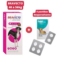 Antipulgas Bravecto para perros de 40 - 56 kg