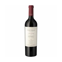 Vino tinto Piattelli Cab Five blend, Argentina