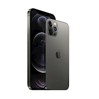 iPhone 12 Pro Max 256GB - Negro