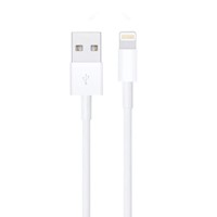 Cable Lightning(2m) Apple Original