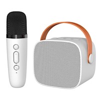 Parlante Bluetooth con Microfono P2 Karaoke