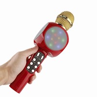 Microfono Karaoke Bluetooth Con Parlante Interno con luces