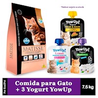 Comida Gato Castrado Matisse Salmon 7.5 kg + 3 Yogurt YowUp