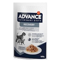 PATE ADVANCE RECOVERY PERRO Y GATO