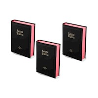 Biblia Reina Valera 1960 Letra Grande 3und