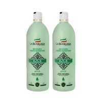 Btx Capilar La Brasiliana Professional Shock Reductor (1Lt) x 2UNIDADES