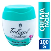 Crema Facial Teatrical Humectante - Pote 100 G