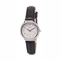 RELOJ ACUATICO MUJER C18A004PY Q&Q